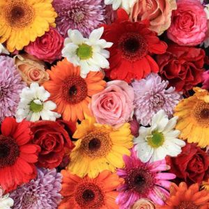 Flores