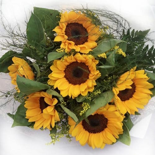 Buquê-de-girassol-vivianflores